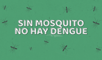 PREVENCIN DE DENGUE: MEDIDAS CLAVES PARA EVITAR SU PROPAGACIN